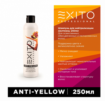 Шампунь для нейтрализации желтизны волос EXITO Anti - Yellow 250 мл