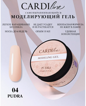 Моделирующий гель CARDILINE PUDRA 04