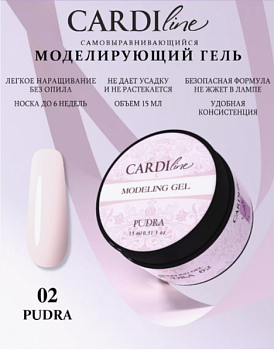 Моделирующий гель CARDILINE PUDRA 02