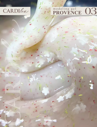 Моделирующий гель CARDILine PROVENCE 03