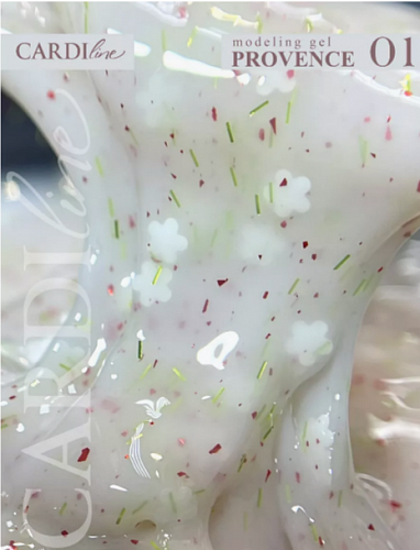 Моделирующий гель CARDILine PROVENCE 01