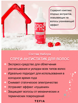 Спрей- антистатик для волос TEFIA MYCARE WINTER MAGIC