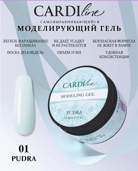Моделирующий гель CARDILINE PUDRA 01