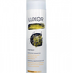 Шампунь Energy против выпадения волос Luxor Scalp therapy+ 300 мл для всех типов волос