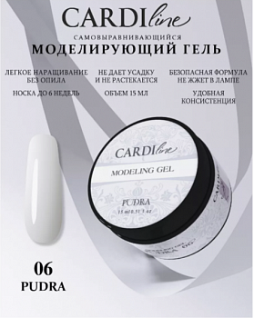 Моделирующий гель CARDILINE PUDRA 06