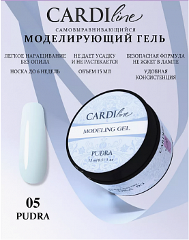 Моделирующий гель CARDILINE PUDRA 05