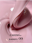 CARDIline моделирующий гель HARMONY 09